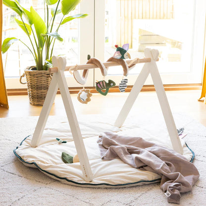 Sebra, Babygym