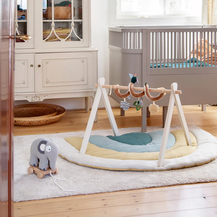 Sebra, Babygym